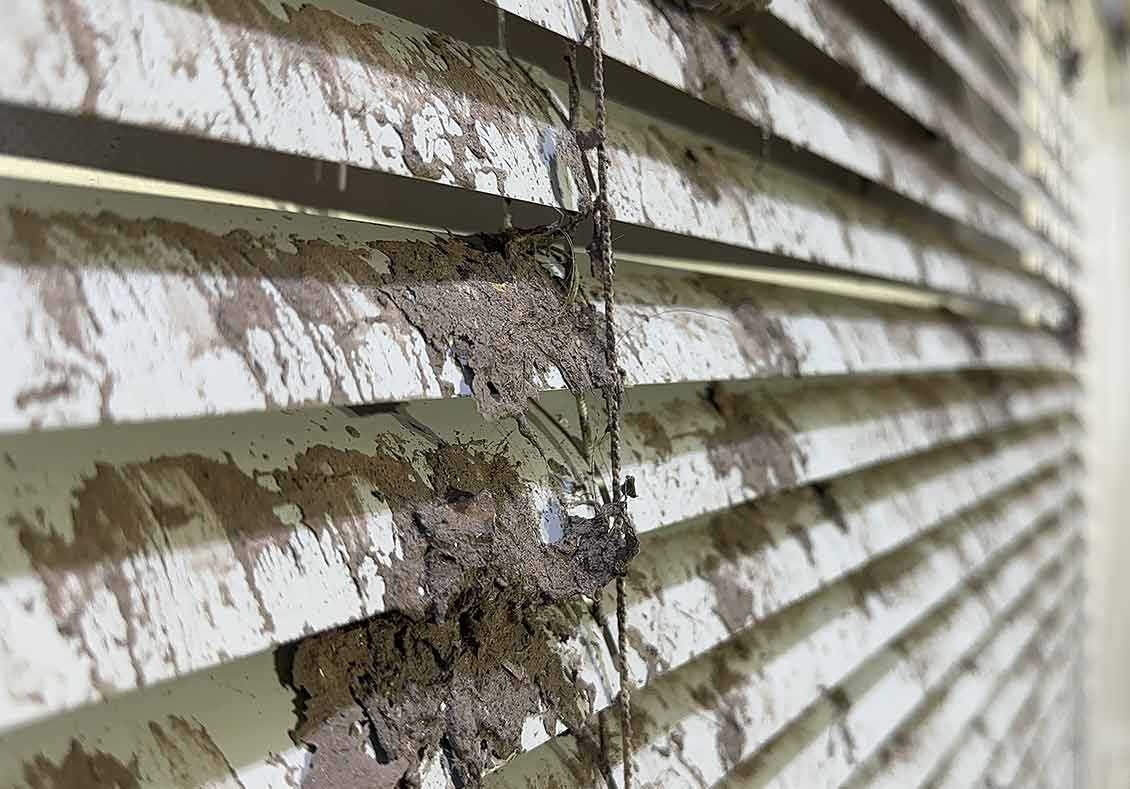 Dirty and Damaged Blinds